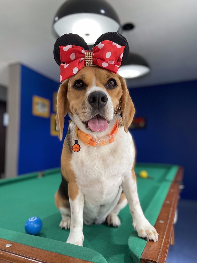 Novotel Sao Jose dos Campos 3