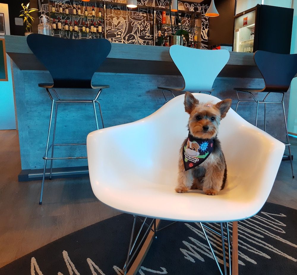 ibis Passo Fundo Centro Hotel 3