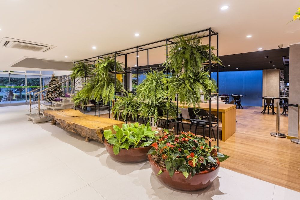 Ibis Styles Belém Hangar 3