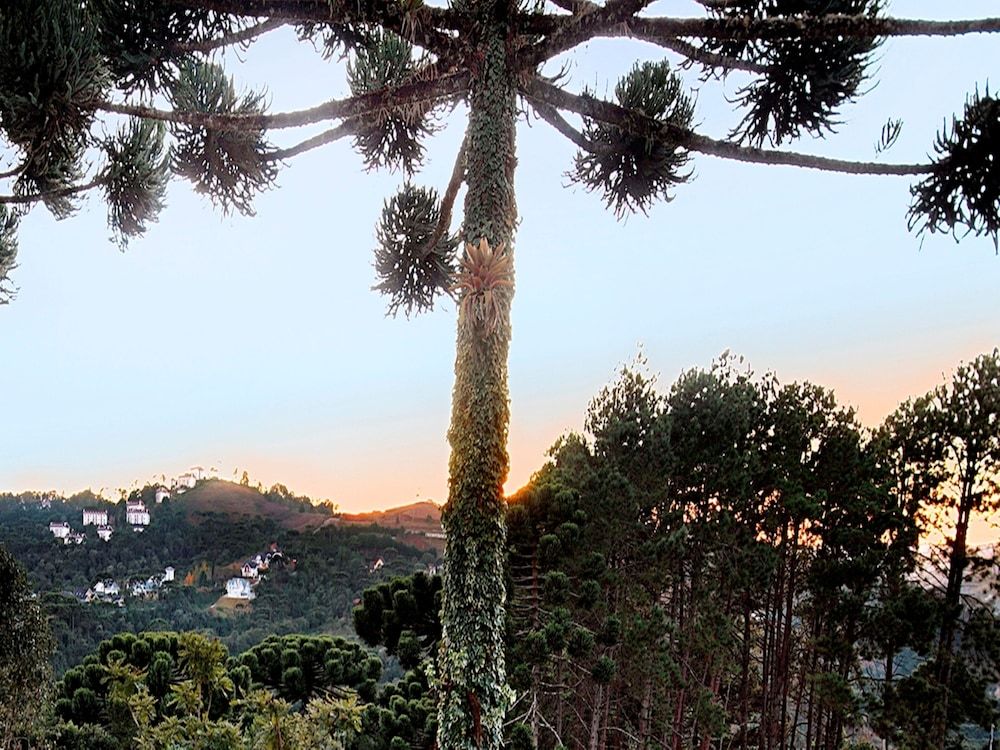 Recanto das Araucarias