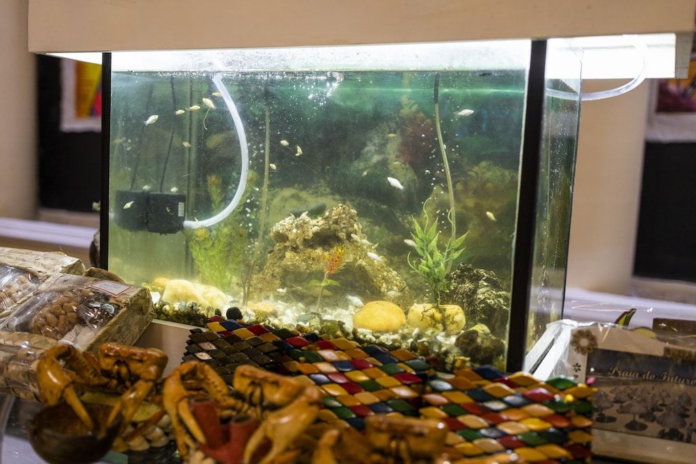 Pousada Ceará Porto das Dunas 3