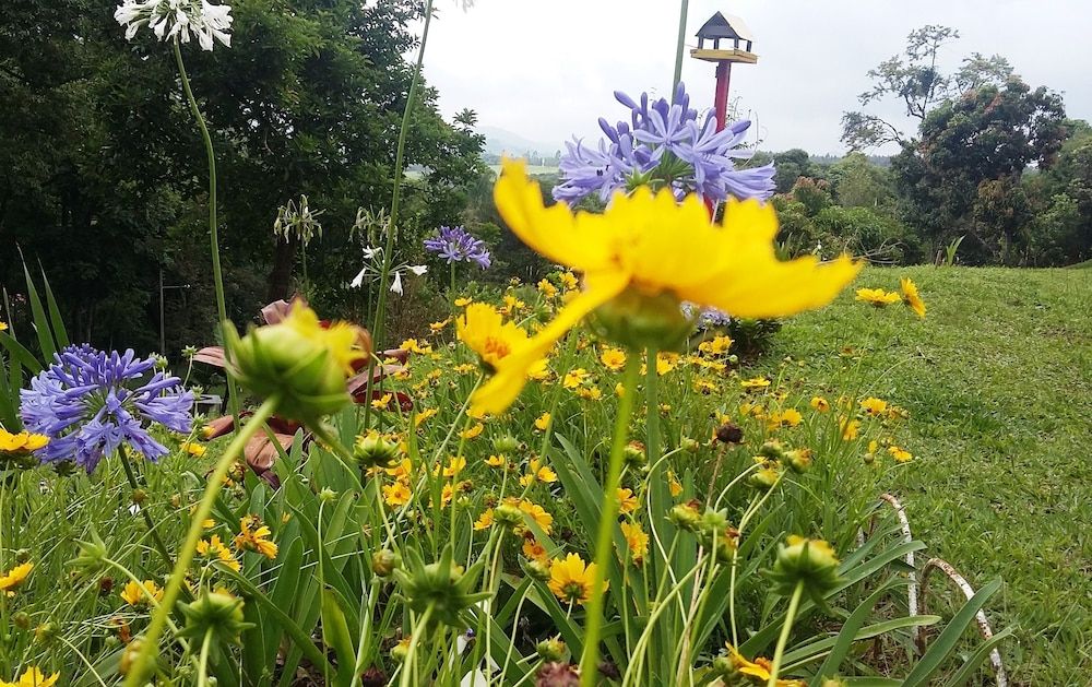 Chácara do Alemão - Recanto Jd.Silvestre