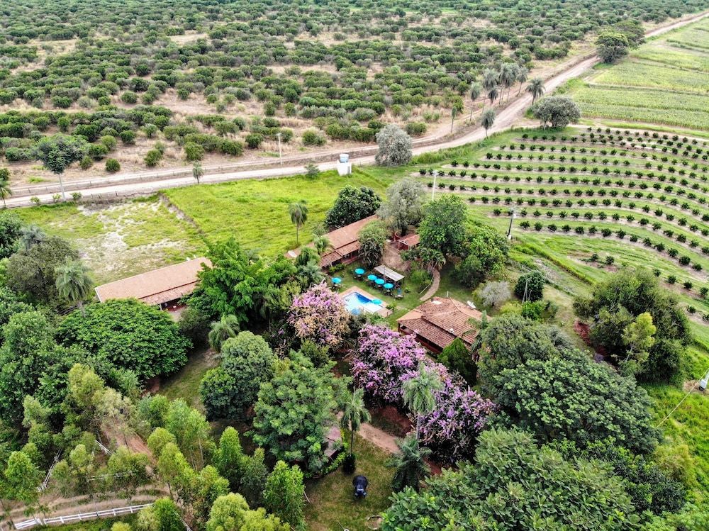 Fazenda Pousada das Palmeiras