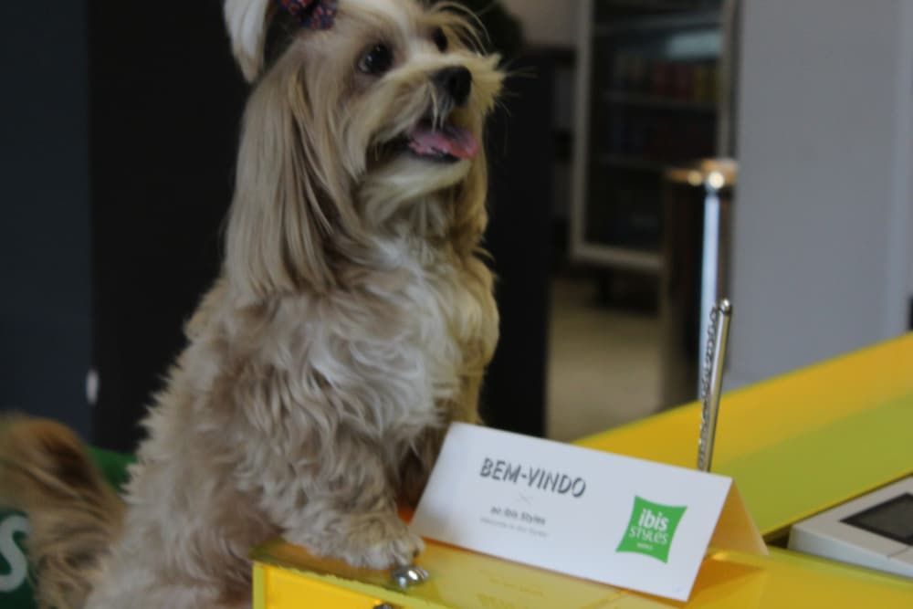 Ibis Styles Boa Vista 2