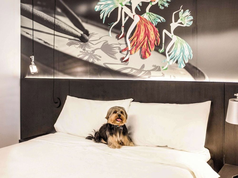 Ibis Styles Taubate 3 stelle a Taubaté