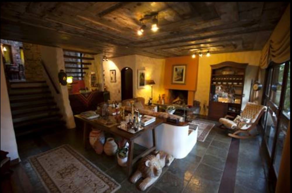 Bromelia Sabia & Cia 2