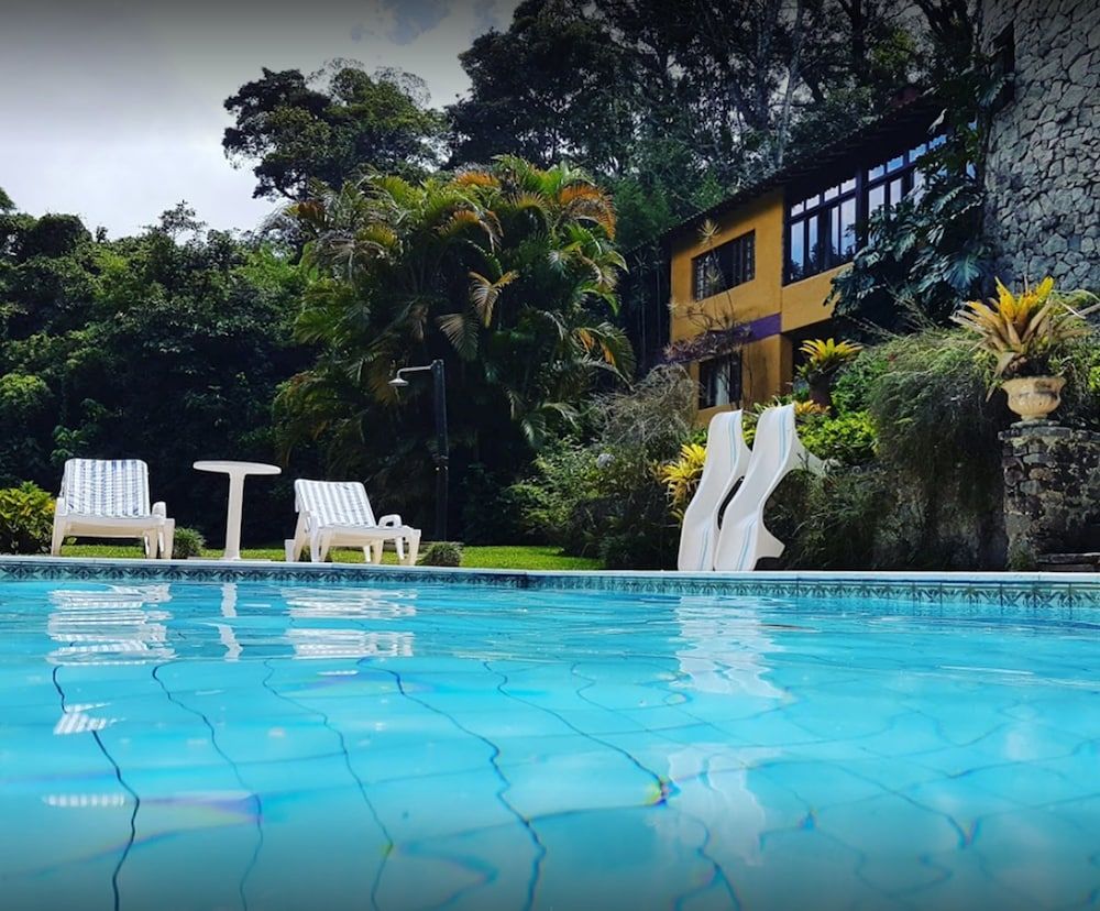 Bromelia Sabia & Cia