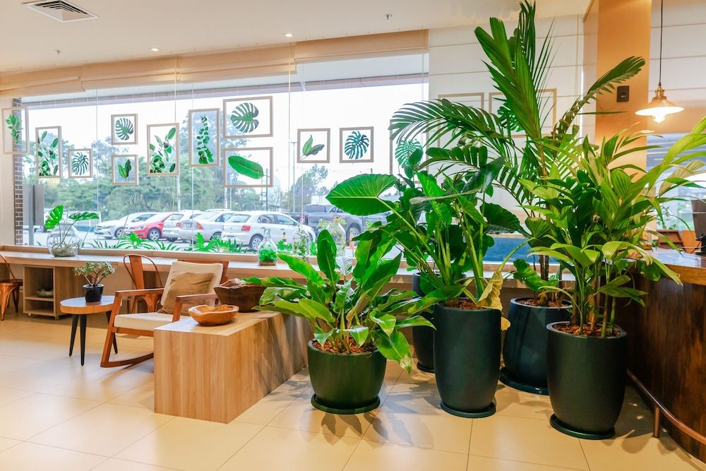 ibis Styles Curitiba Aeroporto 3