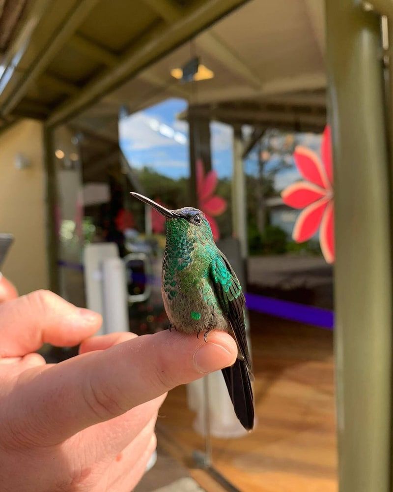 Villa Flor Ecoresort 3