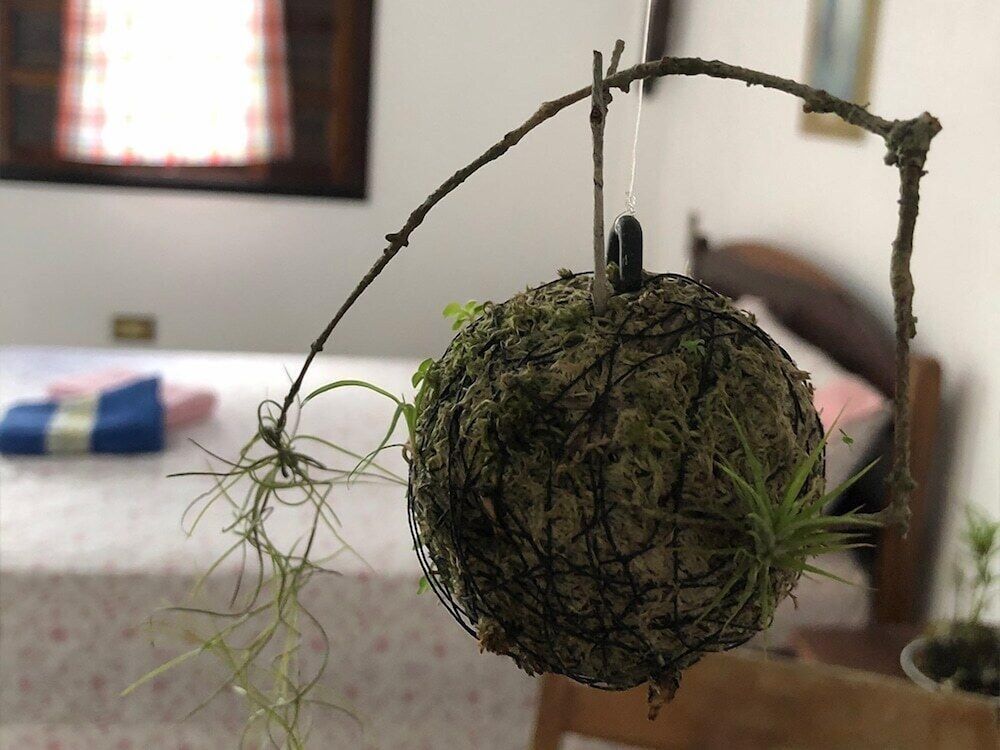 Pousada Atelier Aly da Costa 3