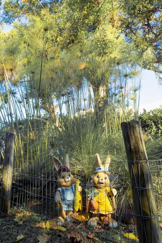 Hotel Pousada dos Plátanos 3