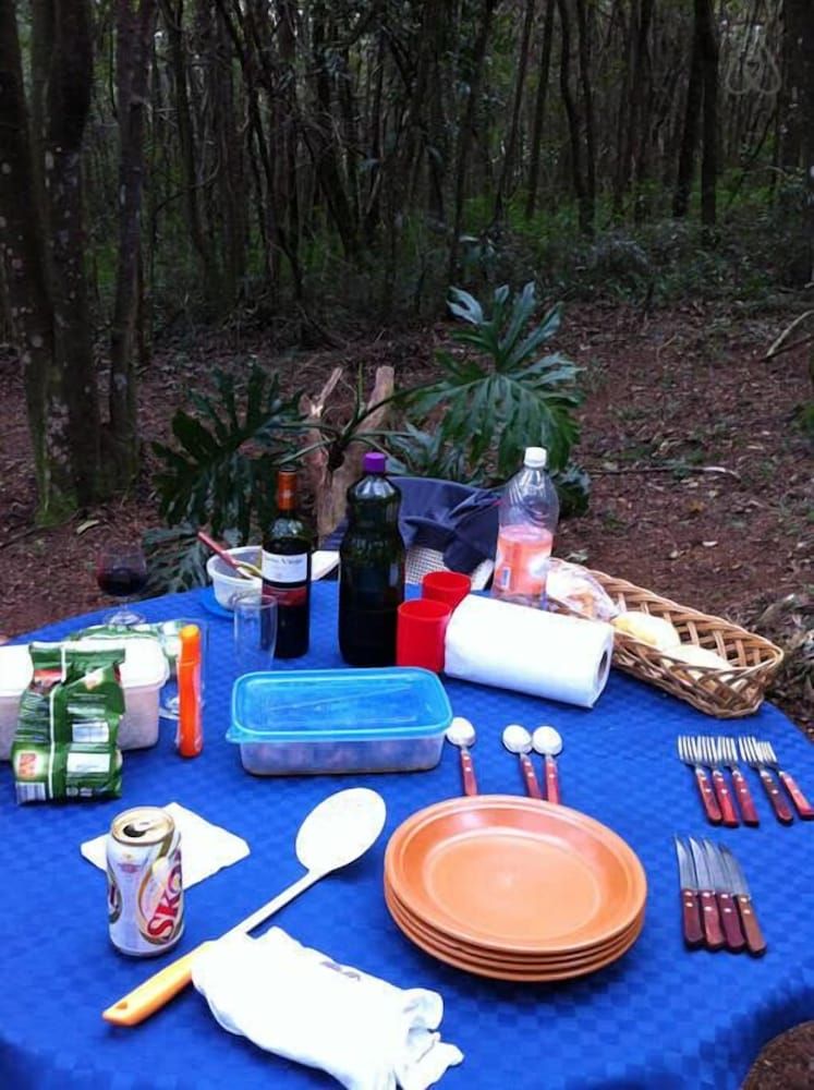 Hirondelle Paraíso 3