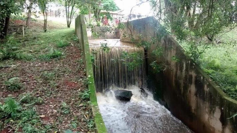 Hirondelle Paraíso 2