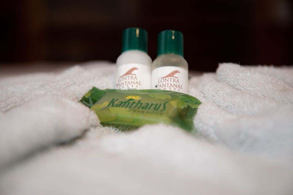 Lontra Pantanal Hotel 3