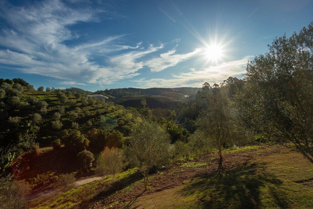 Quinta dos Manacás Pousada 2