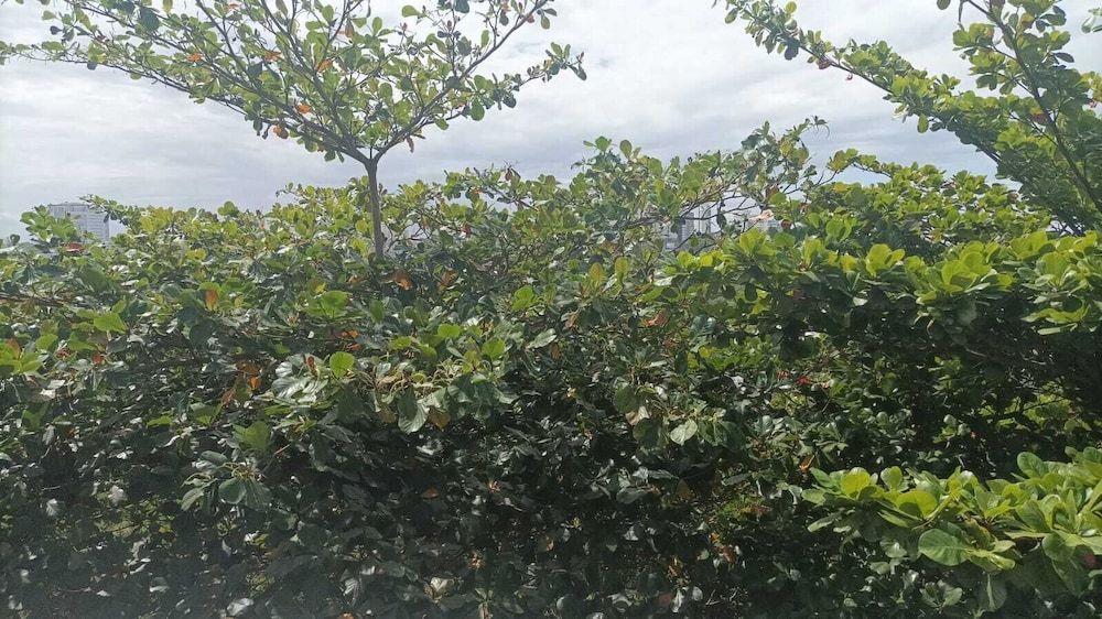 Flat TOP pra homeoffice internet voando 3