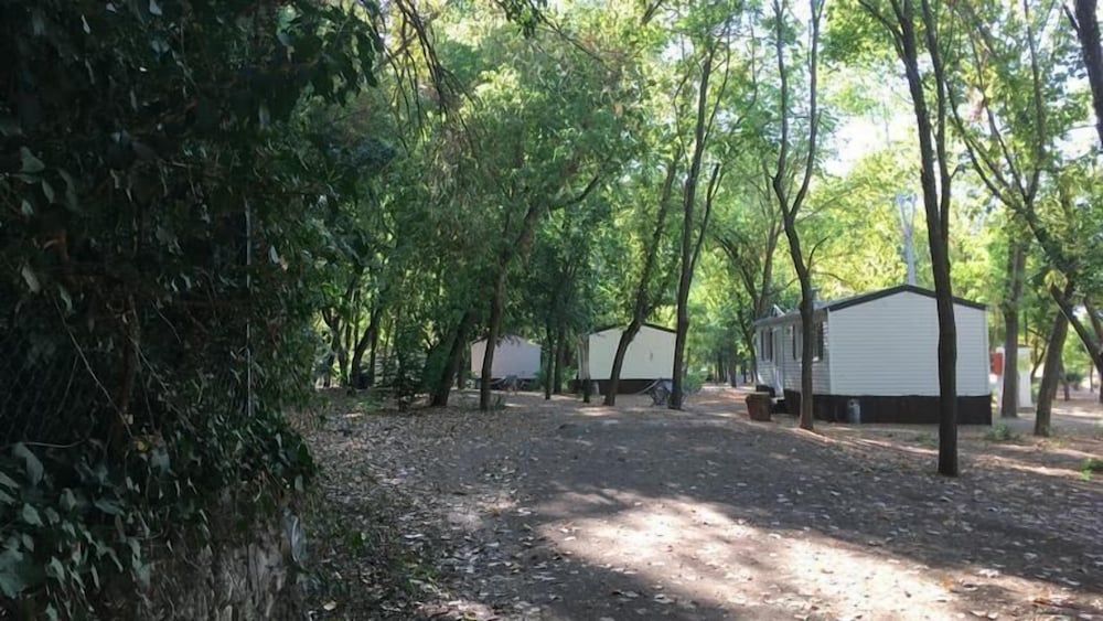 Camping La Fundición 2