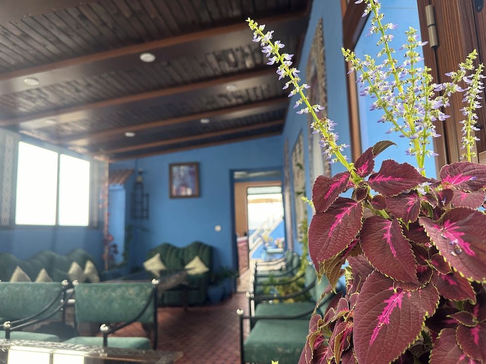 Maison D'hôtes Afassi