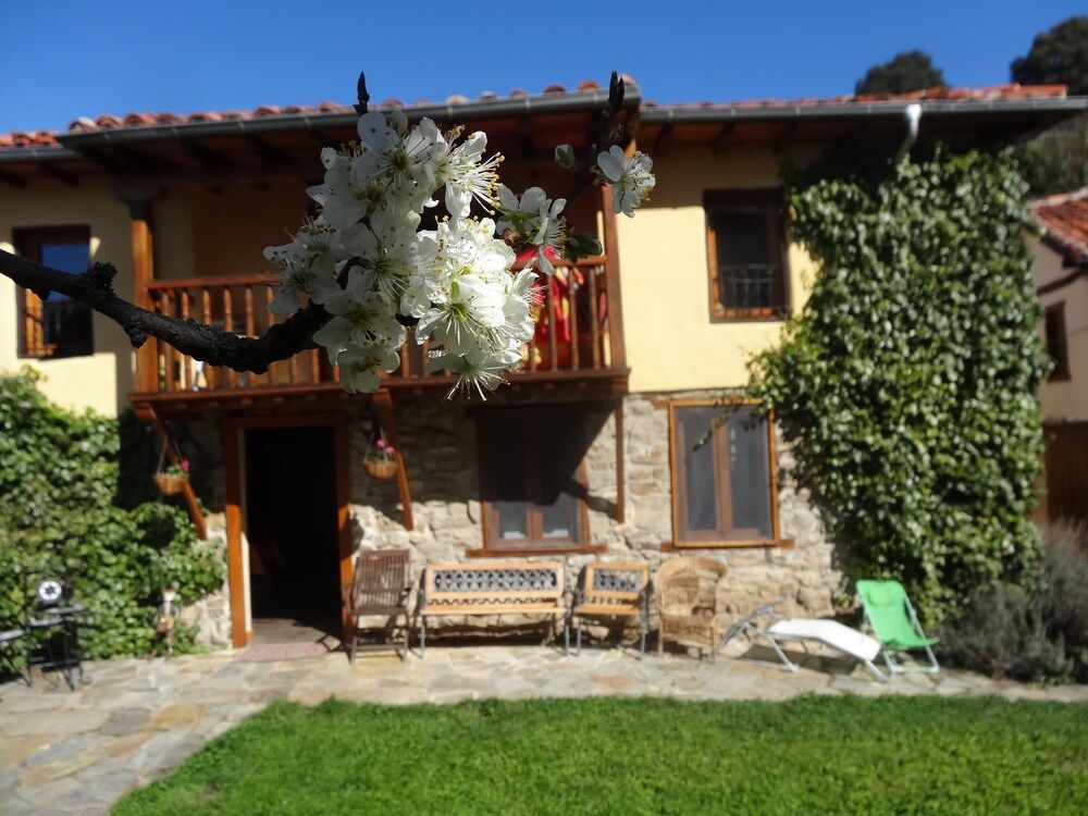 La Perezosa & Yoga - Hostel 1