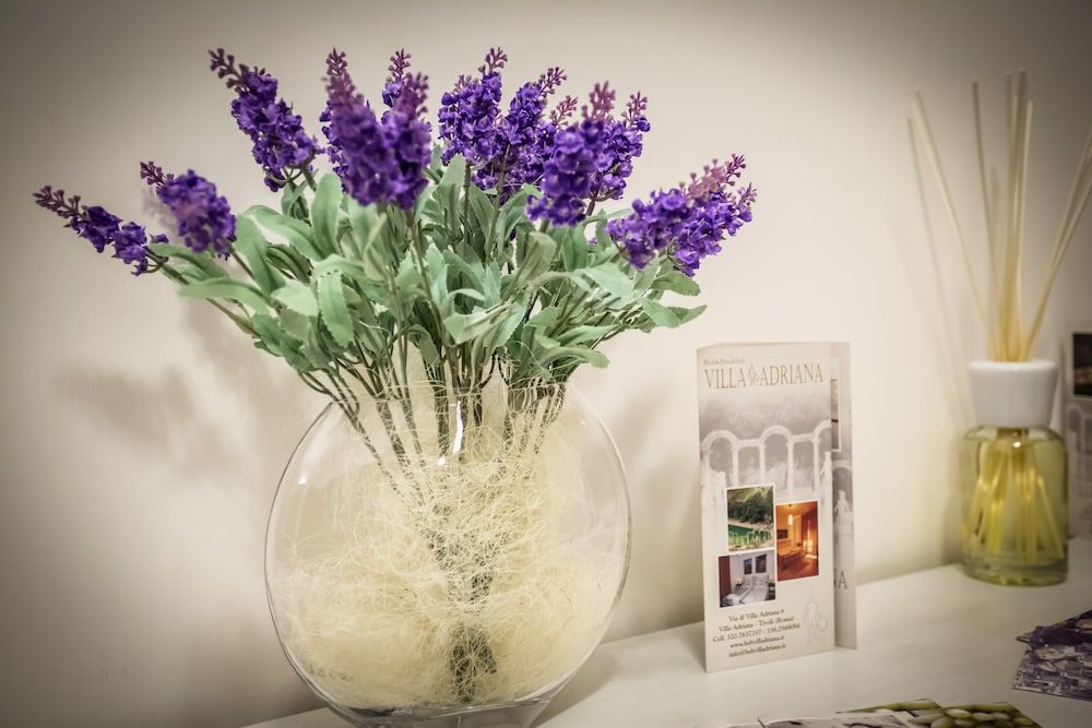 Bed&breakfast Villa Adriana 3