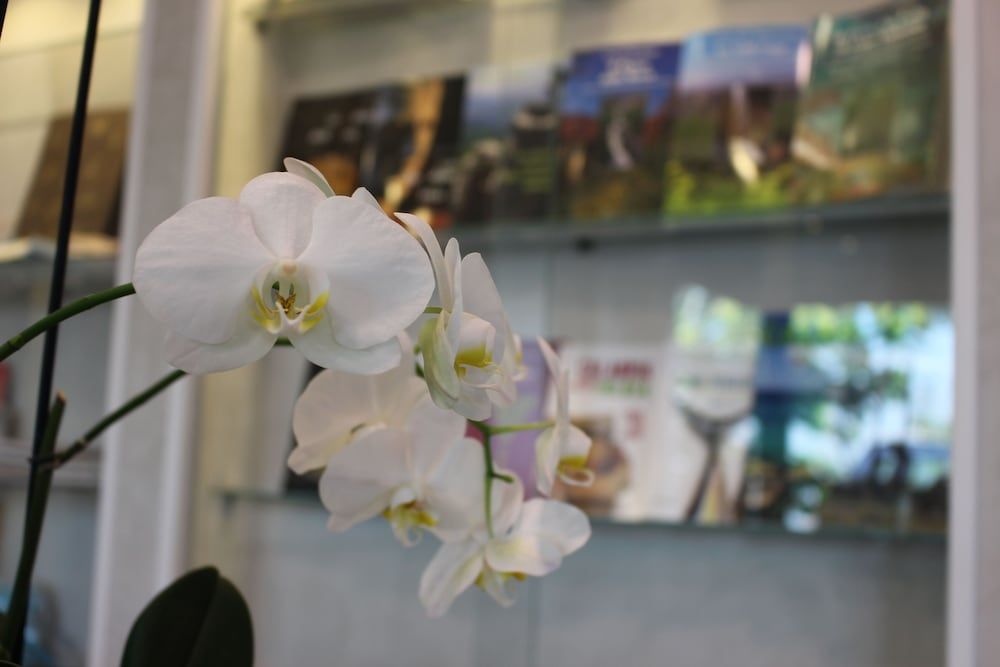 Hotel Altavilla Catanzaro 2