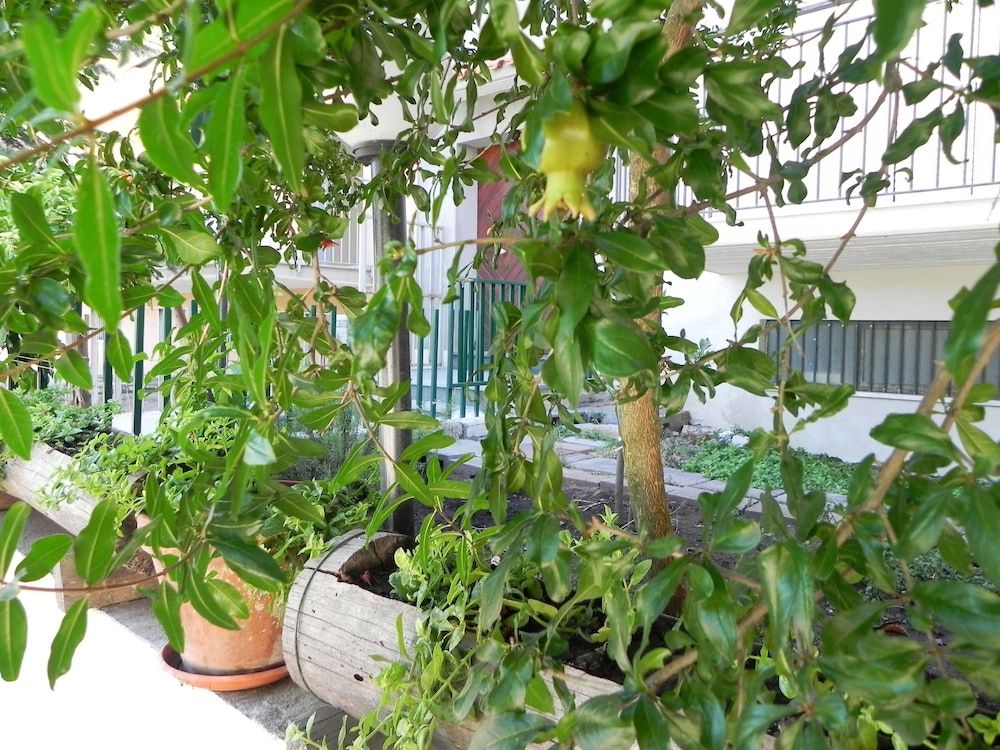 Affittacamere Bellavista 3