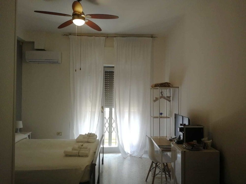 Gatto Bianco Picone 19 2