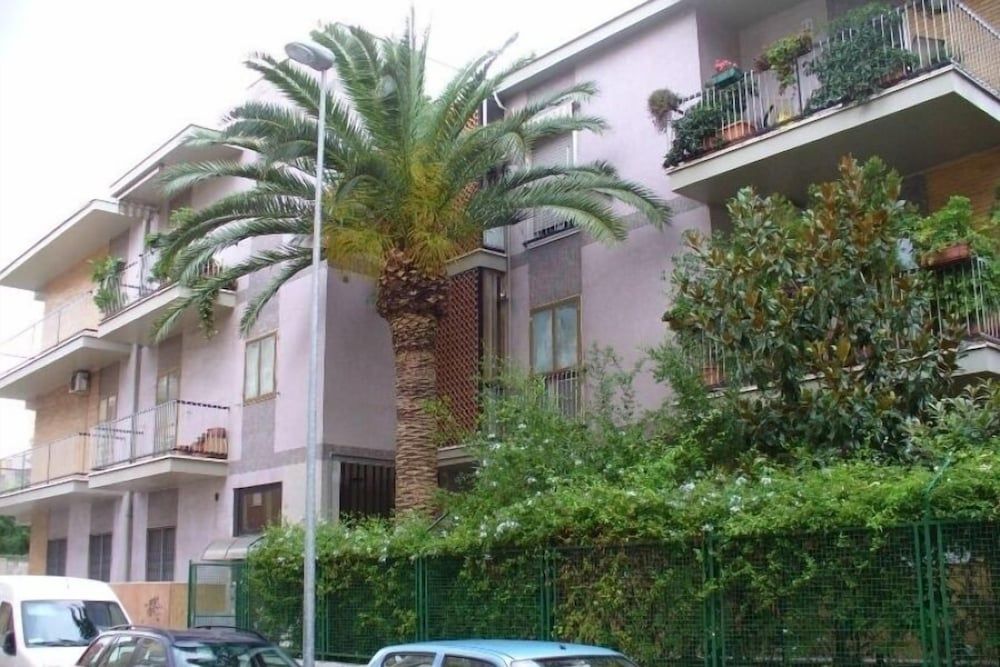 Gatto Bianco Picone 19