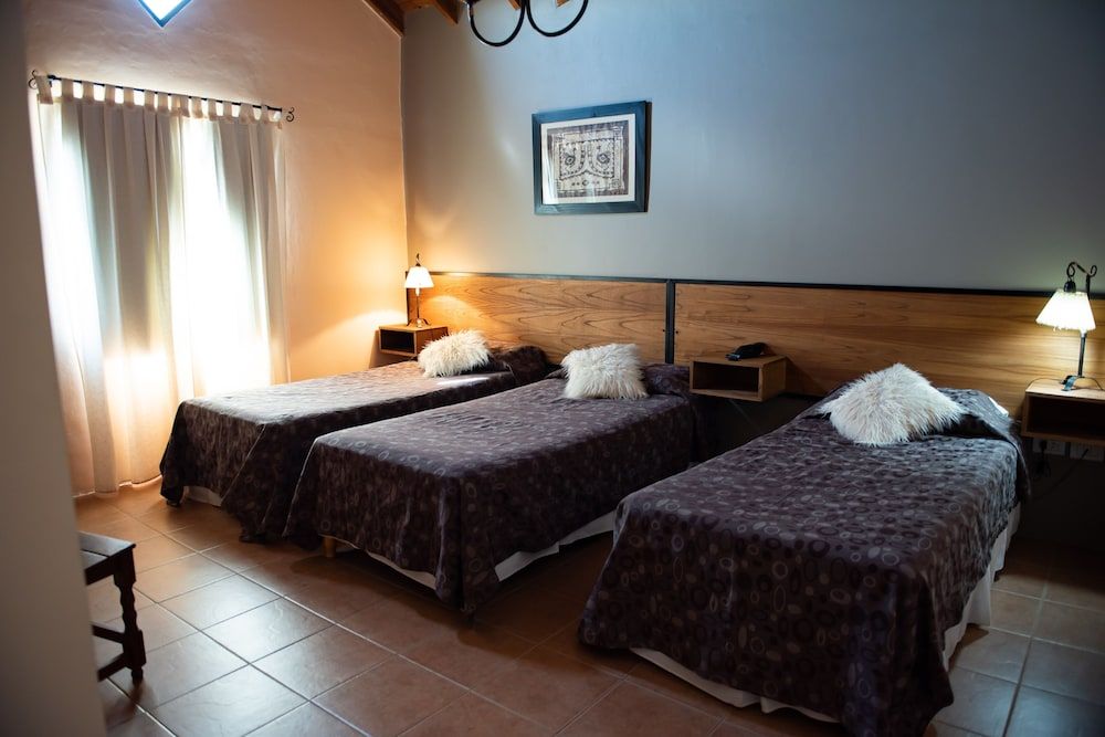 Glaciares De La Patagonia 3