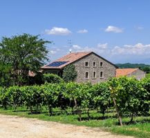 Agriturismo San Leone