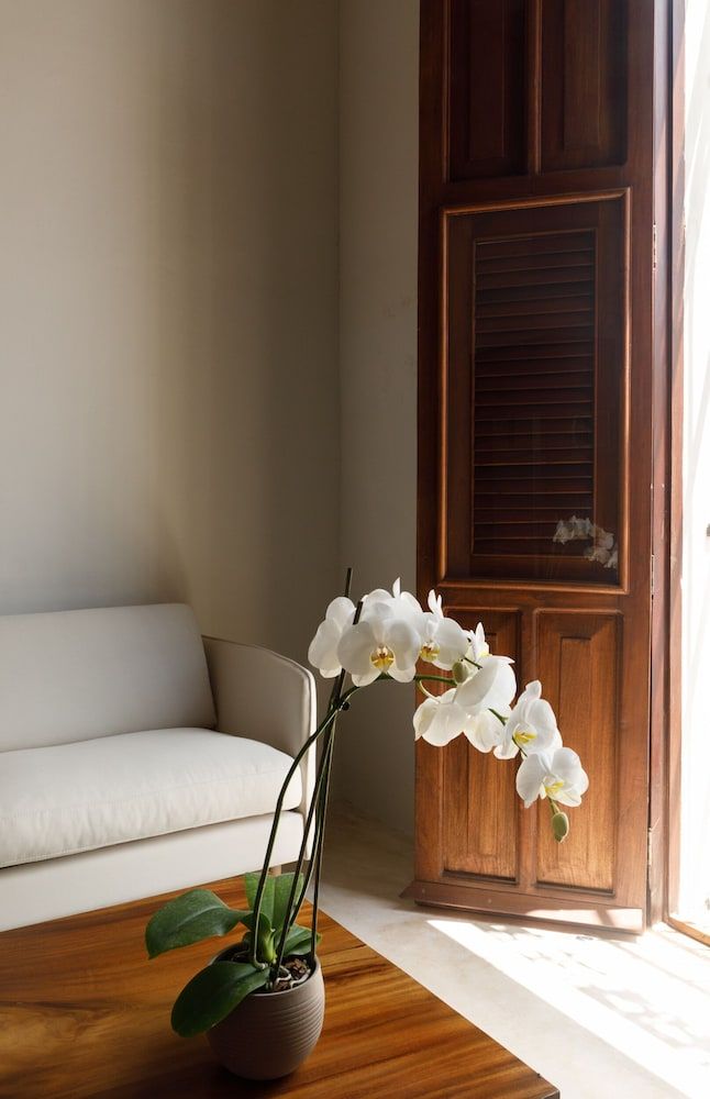Las Lupitas Hotel Boutique 2