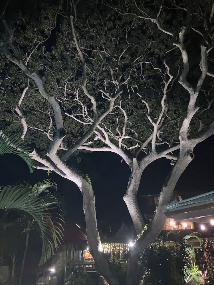 Hale Maluhia Country Inn 2