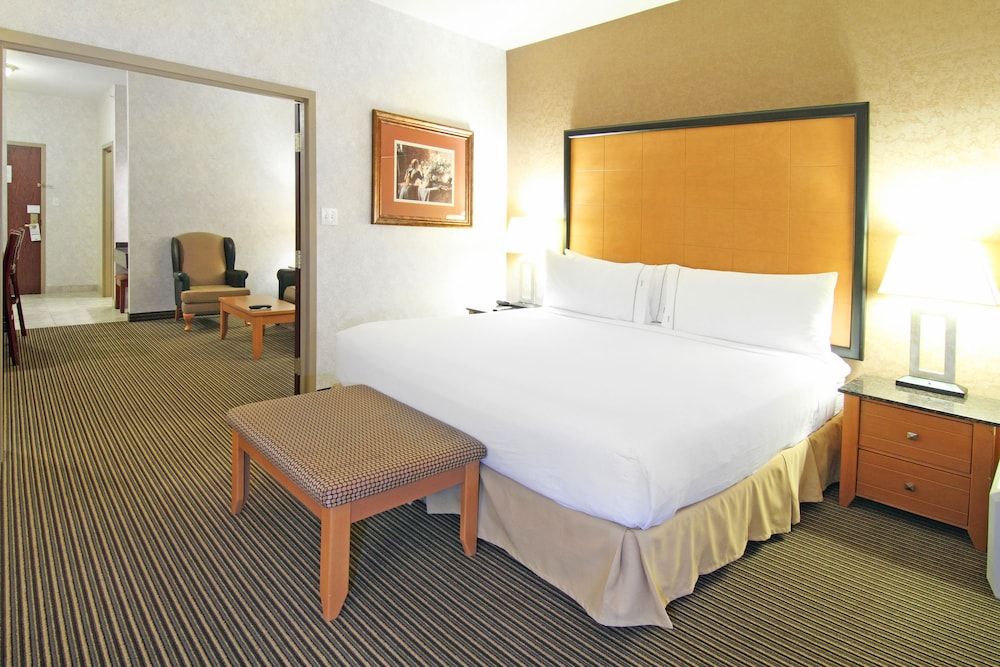 Holiday Inn Express Hotel & Suites Calgary S-Macleod Trail S by IHG 2