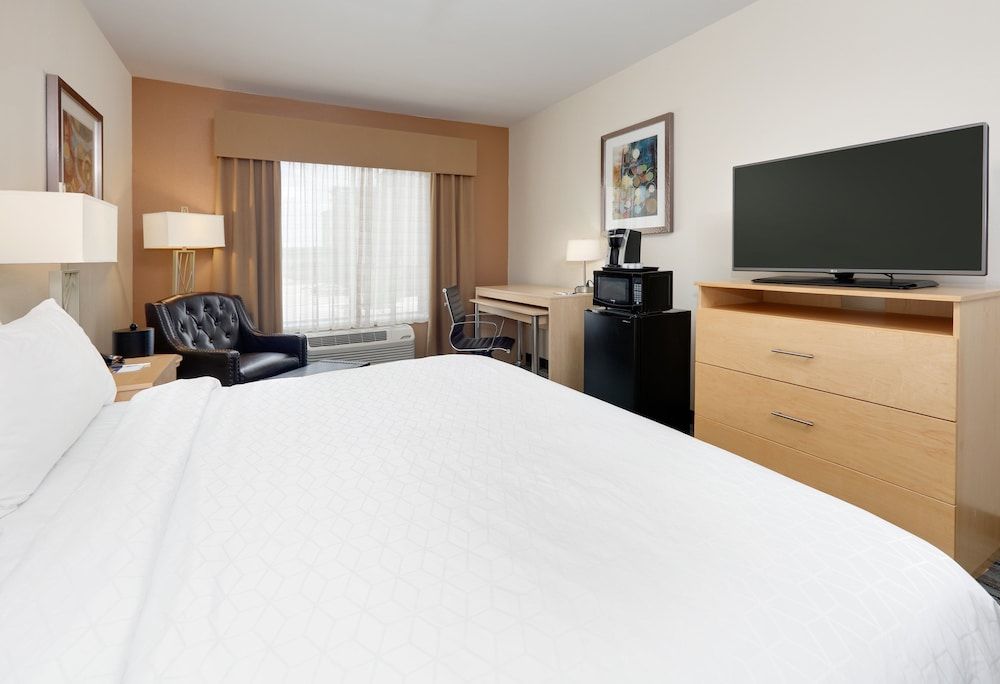 Holiday Inn Express & Suites San Antonio - Brooks City Base by IHG 3