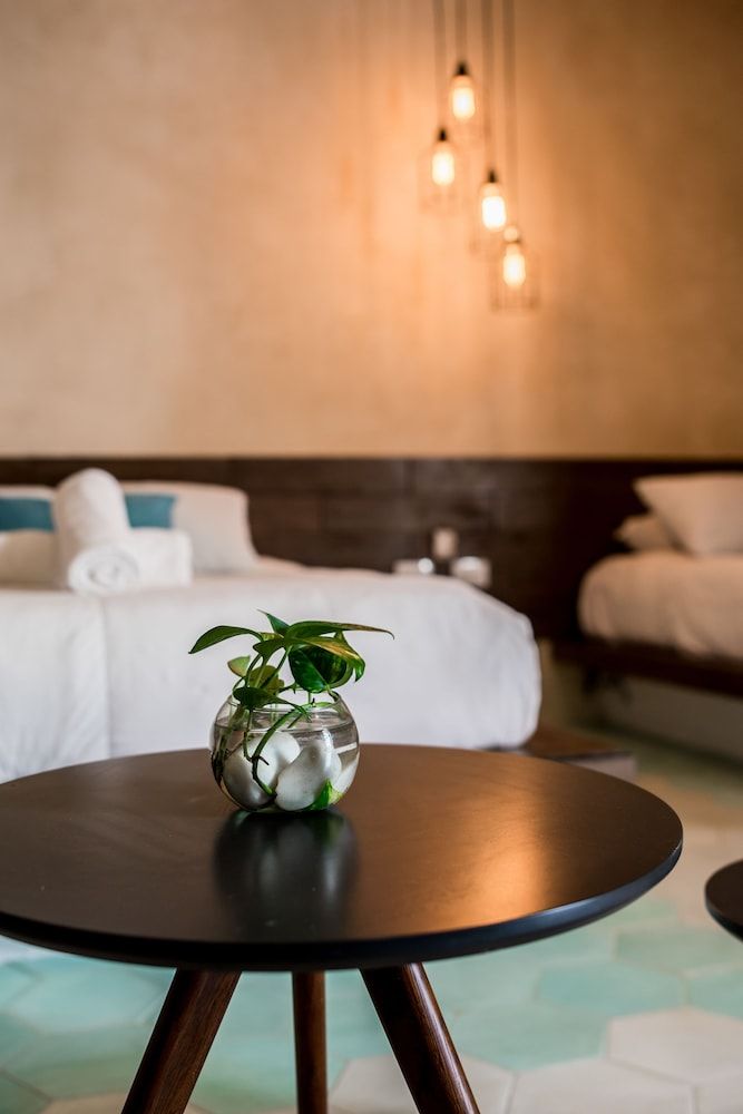 Hotel Boutique Grandiosa 3