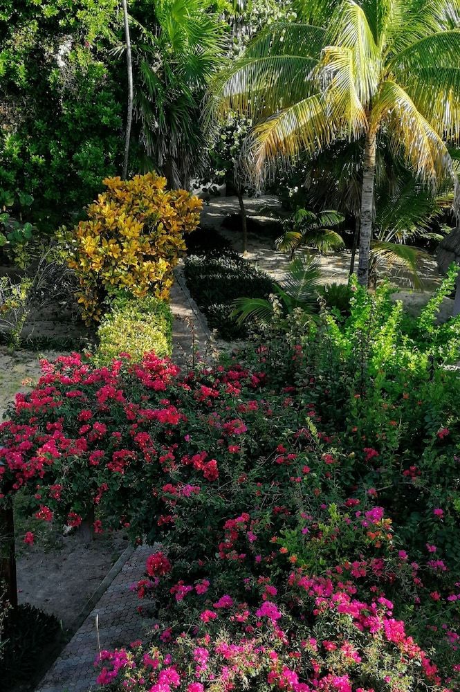 Margarita del Sol Costa Maya 2