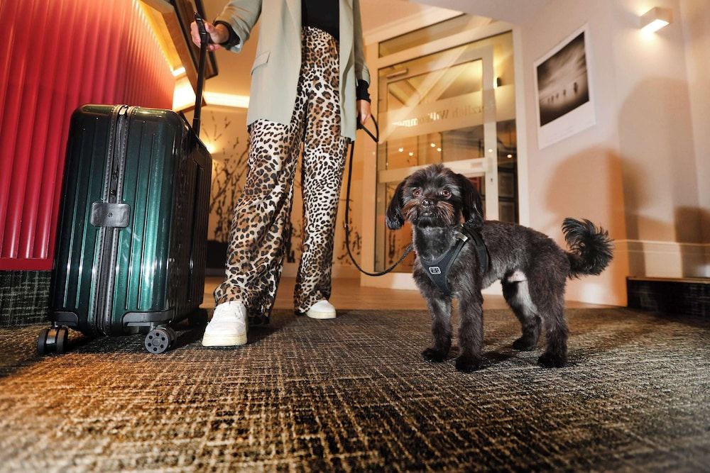 Best Western Hotel Windorf 2