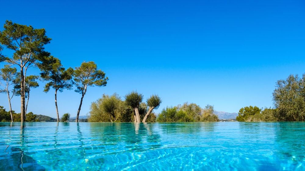 Finca Sa Bastida Luxury Retreat & Spa - Adults Only 1