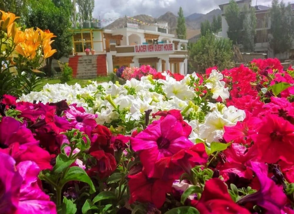 Glacier View Guest House 1