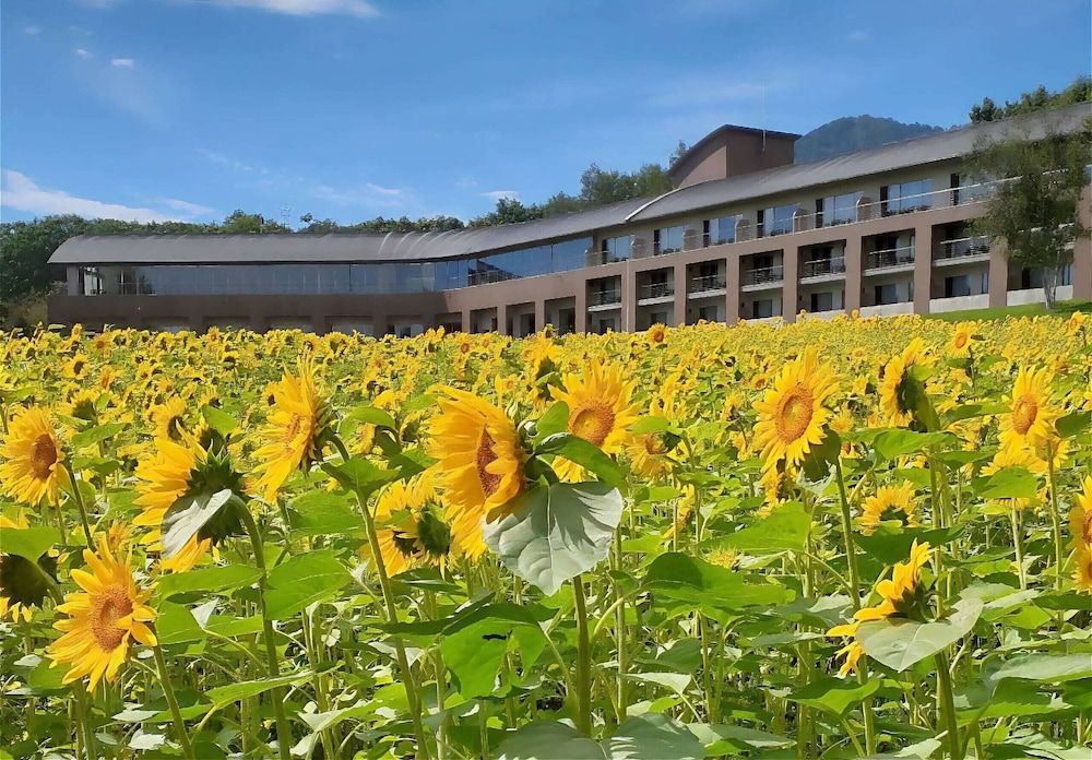 FURANO HOTEL -1 estrelas em Furano