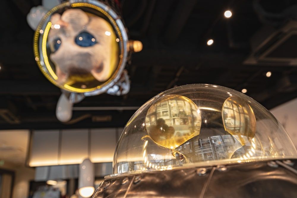 WeBase Hiroshima - Hostel 2