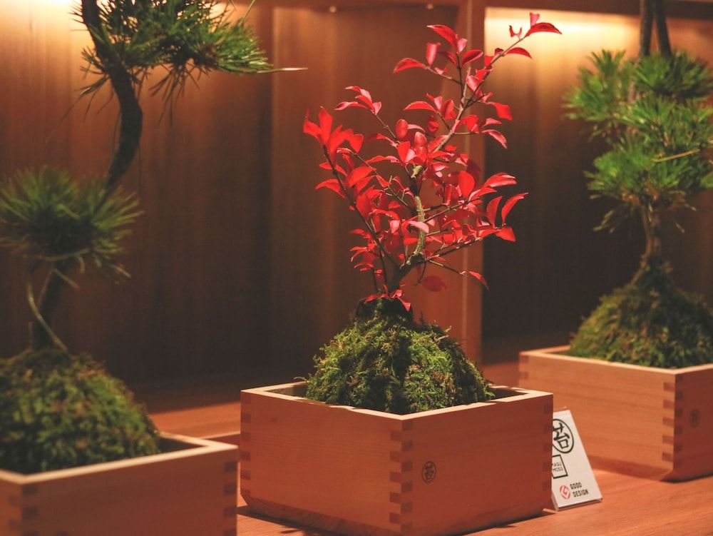 Awazu-Spa Tourist Hotel Kitahachi 2