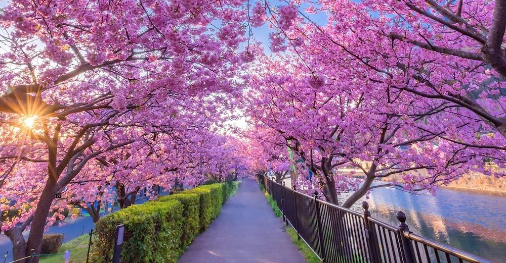 Izu Imaihama Tokyu Hotel 4 estrelas em Kawazu