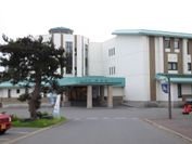 Romantopia, A Landscape of Forest and Stars, The Swan, Hotel of Stars