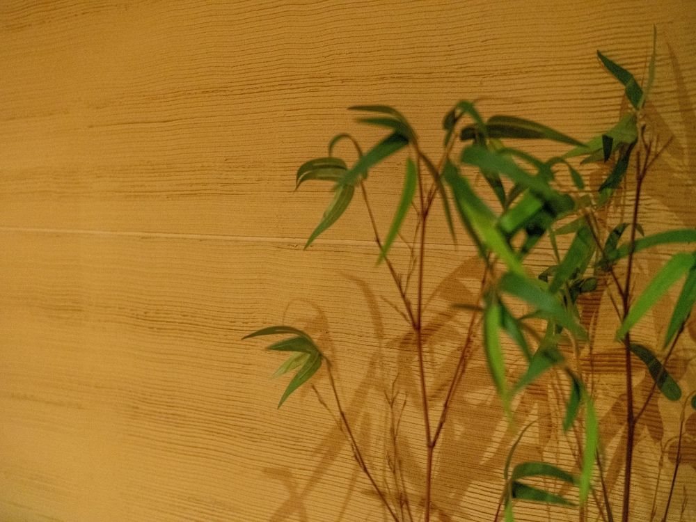 Kawayu Kanko Hotel 2