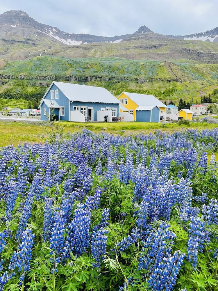 Lonsleira Apartments
