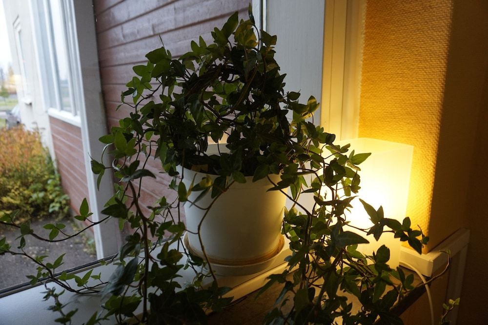 Kristinebergs Bed & Breakfast Mora 2