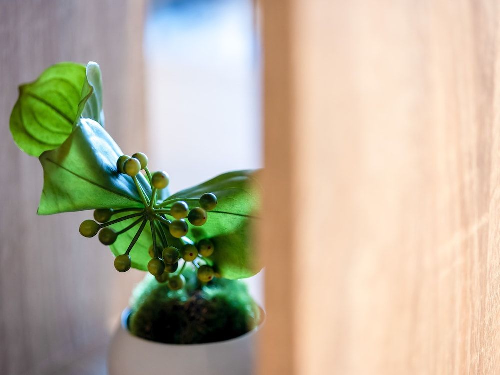 Comfort Hotel Takamatsu 3