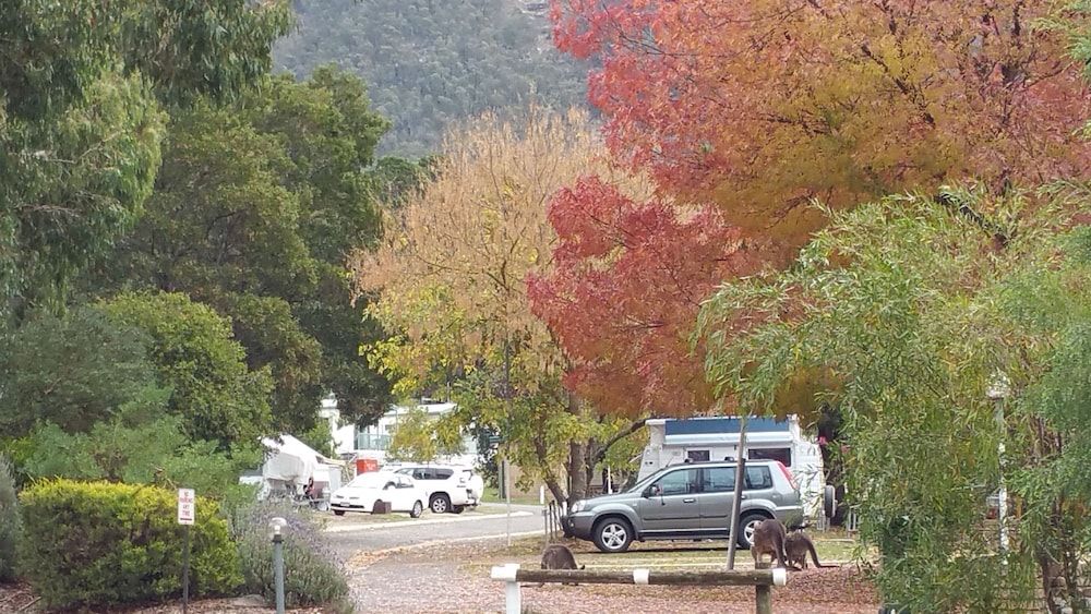 Breeze Holiday Parks - Halls Gap 3 estrellas en Halls Gap