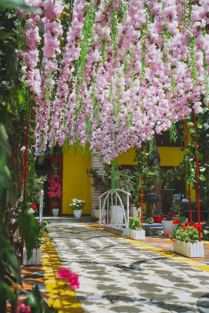 Hotel Mali i Robit 2